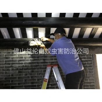 禅城祠堂杀灭白蚁工程