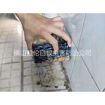 佛山诱杀白蚁危害工程